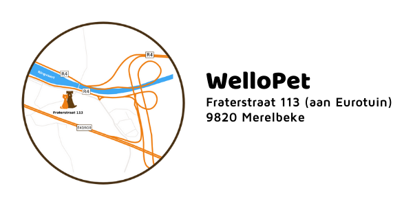 Dierenarts Merelbeke