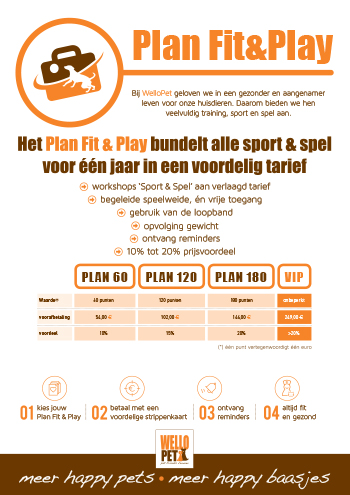 FIT&PLAY PLAN 350pix.jpg