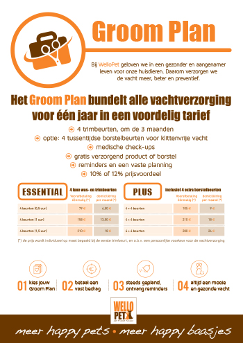 GROOM PLAN 350pix.jpg