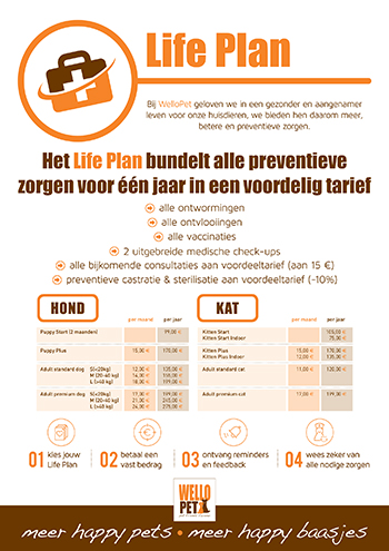 LIFE PLAN 350pix.jpg