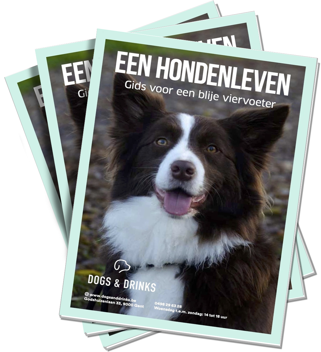 Hondenleven