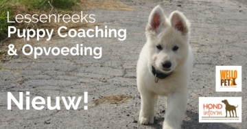 Puppy Coaching