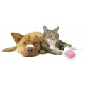 kat en hond EHBO