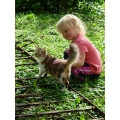 catkids