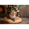 Katten en feestdagen
