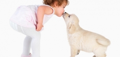 Hond en meisje geven een kus aan elkaar