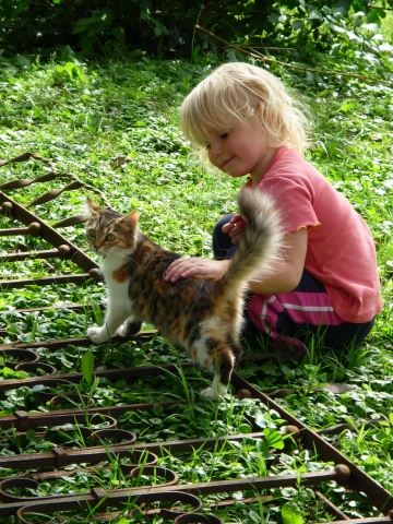 catkids