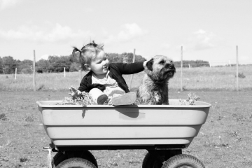 Een hond en kind samen in een kar
