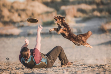 Hondenfrisbee