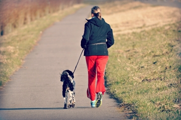 Samen lopen met hond