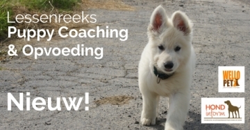 Puppy coaching