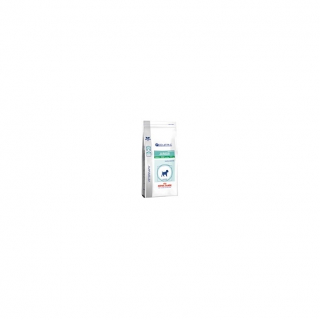 Royal Canin Junior Digest/Dental 2kg Royal Canin Junior Digest/Dental 2kg
