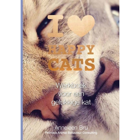 werkboek Happy cats cover front frontcover werkboek Happy cats