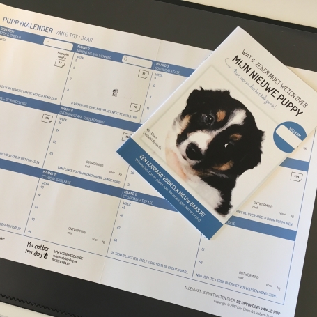 kalender en mini puppy gids mini puppy gids en kalender