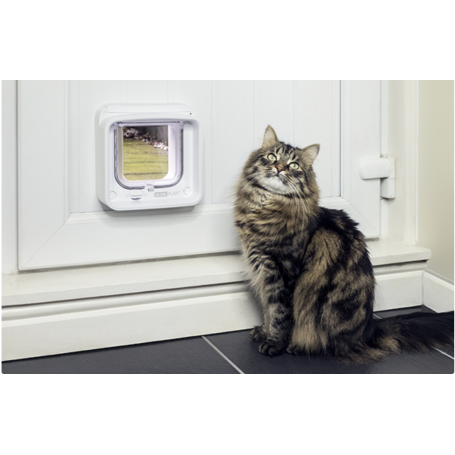 Microchip Kattenluik Connect Sluiten Microchip Kattenluik Connect