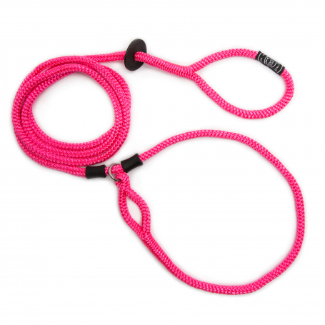 harness lead roze harness lead