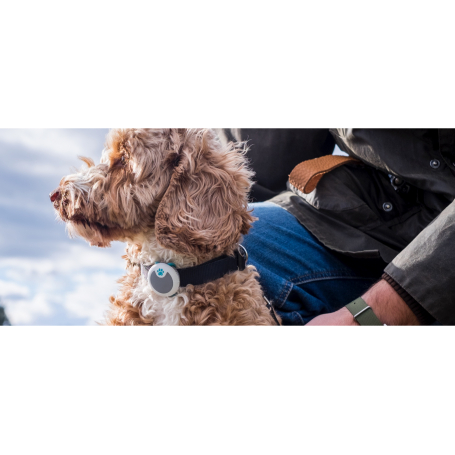 Animo Activity Tracker Animo Hondentracker