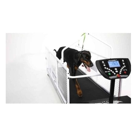 K9 Runner Racer Hond K9 Runner Racer Hond