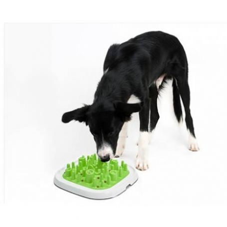 Pet Engima Large 20 Pet Engima Large 20