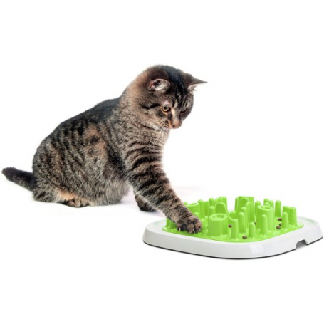 Pet Engima Large 20 Pet Engima Large 20