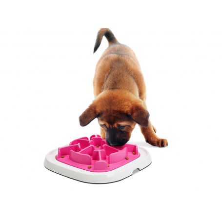 Pet engima bowl hond Pet engima bowl hond