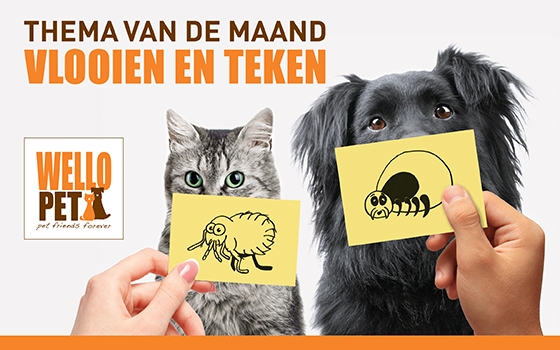 Thema van de maand juni: Parasieten Thema van de maand juni: Parasieten