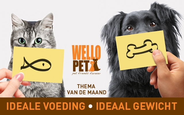 Thema van de maand november Ideale voeding, ideaal gewicht