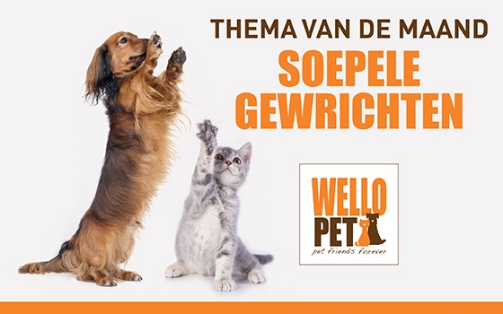 Thema van de maand december Soepele Gewrichten