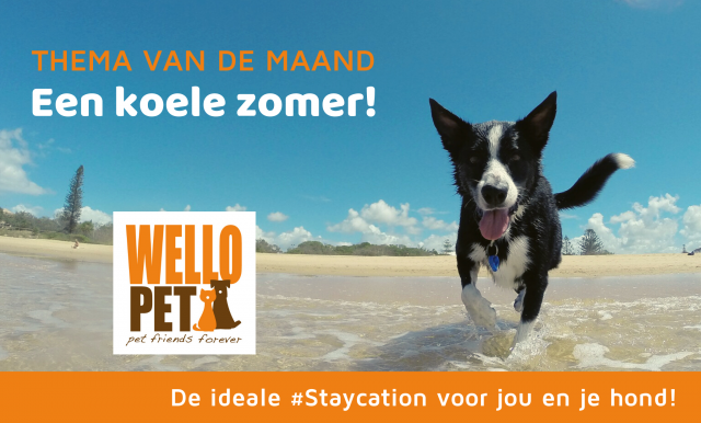 thema van de maand: een koele zomer thema van de maand: een koele zomer