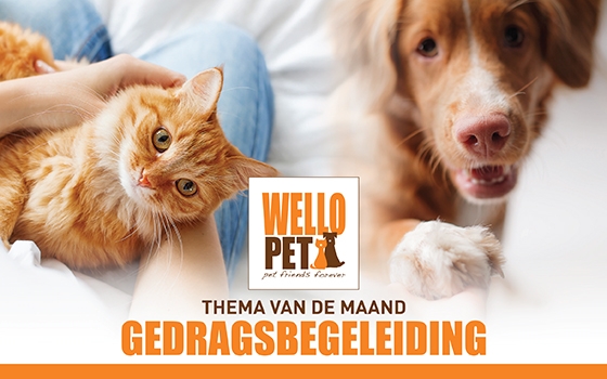 thema van de maand oktober: gedragsbegeleiding thema van de maand oktober: gedragsbegeleiding