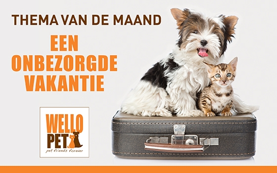 thema van de maand: een onbezorgde vakantie thema van de maand: een onbezorgde vakantie promotieafbeelding