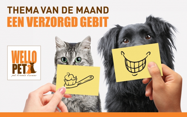 thema van de maand maart: verzorgd gebit thema van de maand: een verzorgd gebit promotieafbeelding