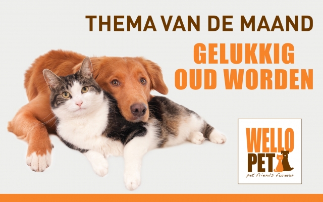 maandthema: gelukkig oud worden thema van de maand: gelukkig oud worden promotieafbeelding