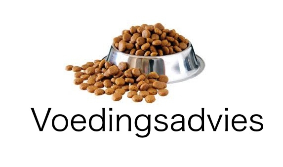Voedingsadvies voedingsadvies