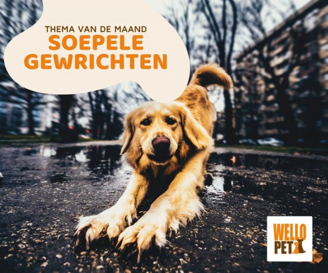 Soepele gewrichten Soepele gewrichten