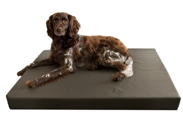 Orthopedisch Hondenbed Medium Orthopedisch Hondenbed Medium