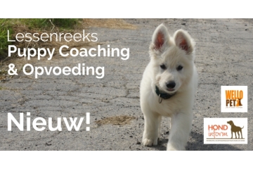 Puppy coaching Joke Monteny