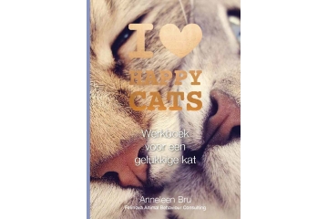 frontcover werkboek Happy cats